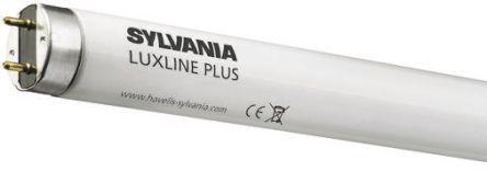 Sylvania T5 FHE Luxline Plus 21W 865 850mm Fluorescent Light Tube Bulb G5